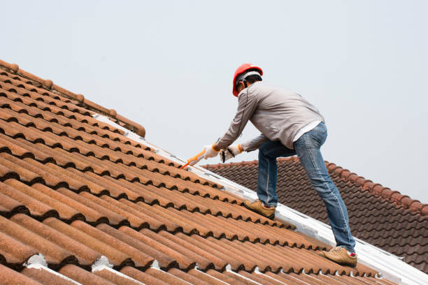 Best Rubber Roofing (EPDM, TPO)  in Wilson, PA